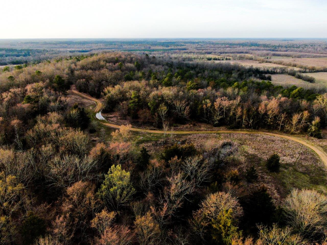 218 Mills Ferry Road