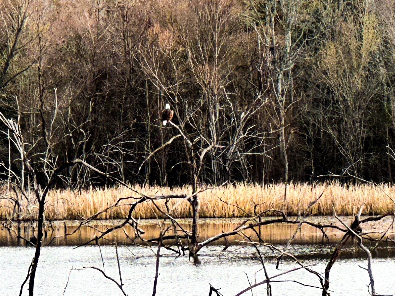 218 Mills Ferry Road