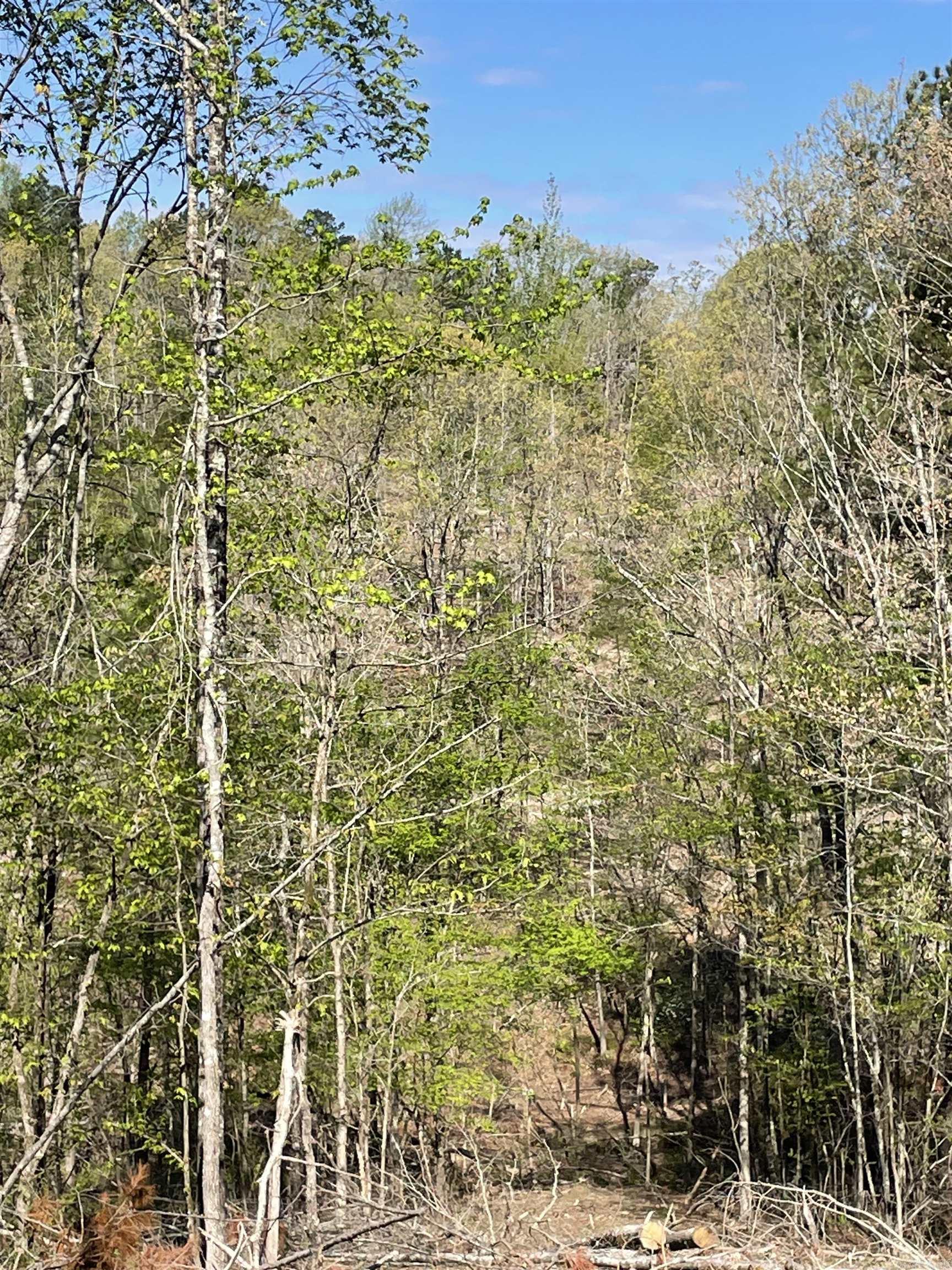 8066 Steel Bridge Road