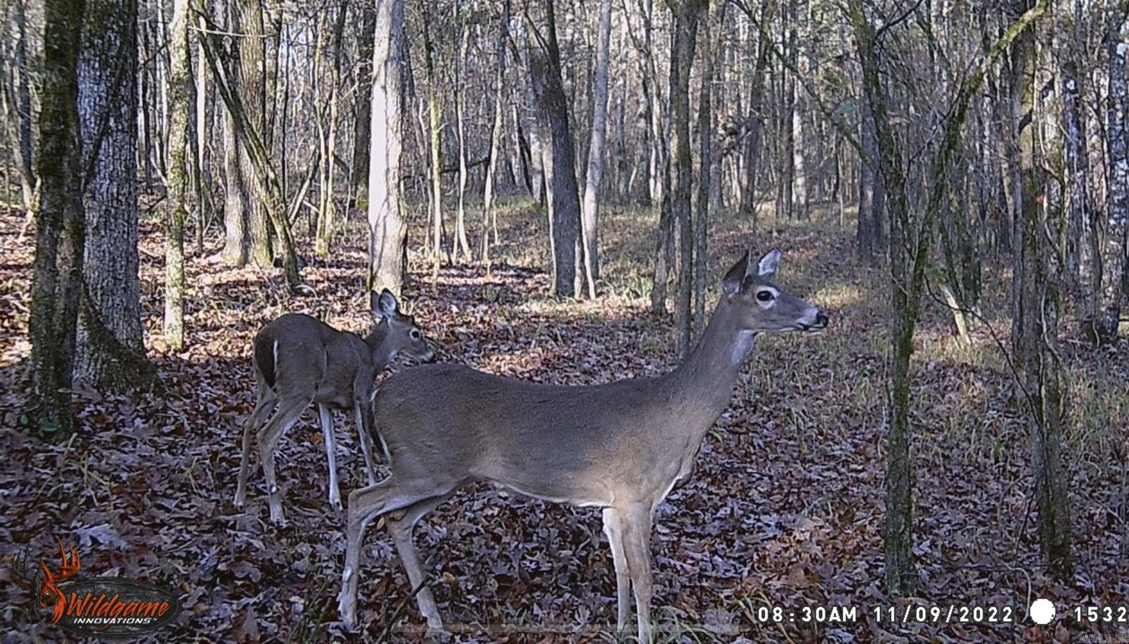 8066 Steel Bridge Road