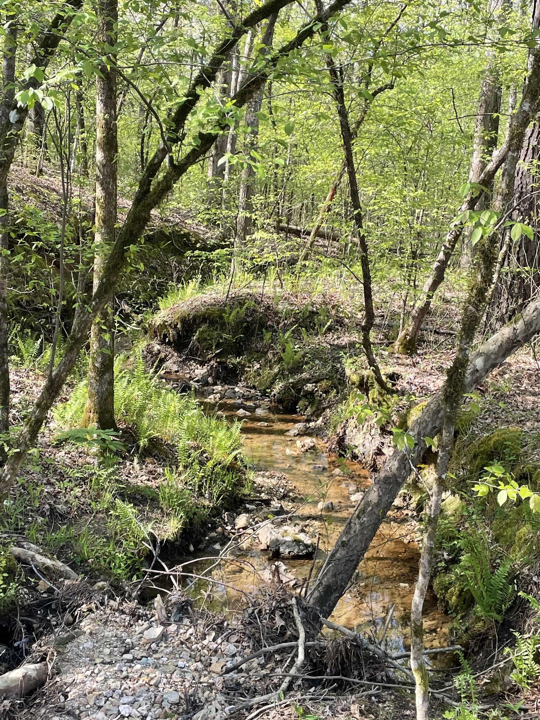 8066 Steel Bridge Road