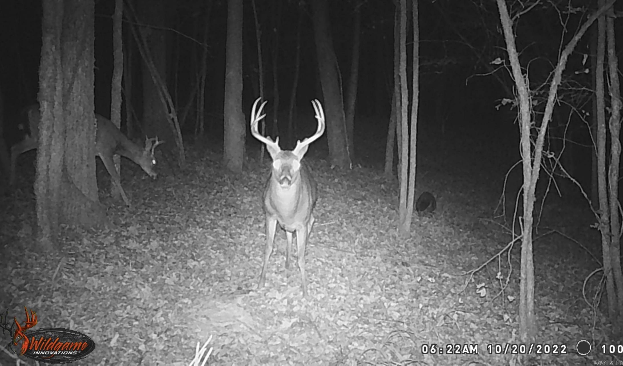 8066 Steel Bridge Road