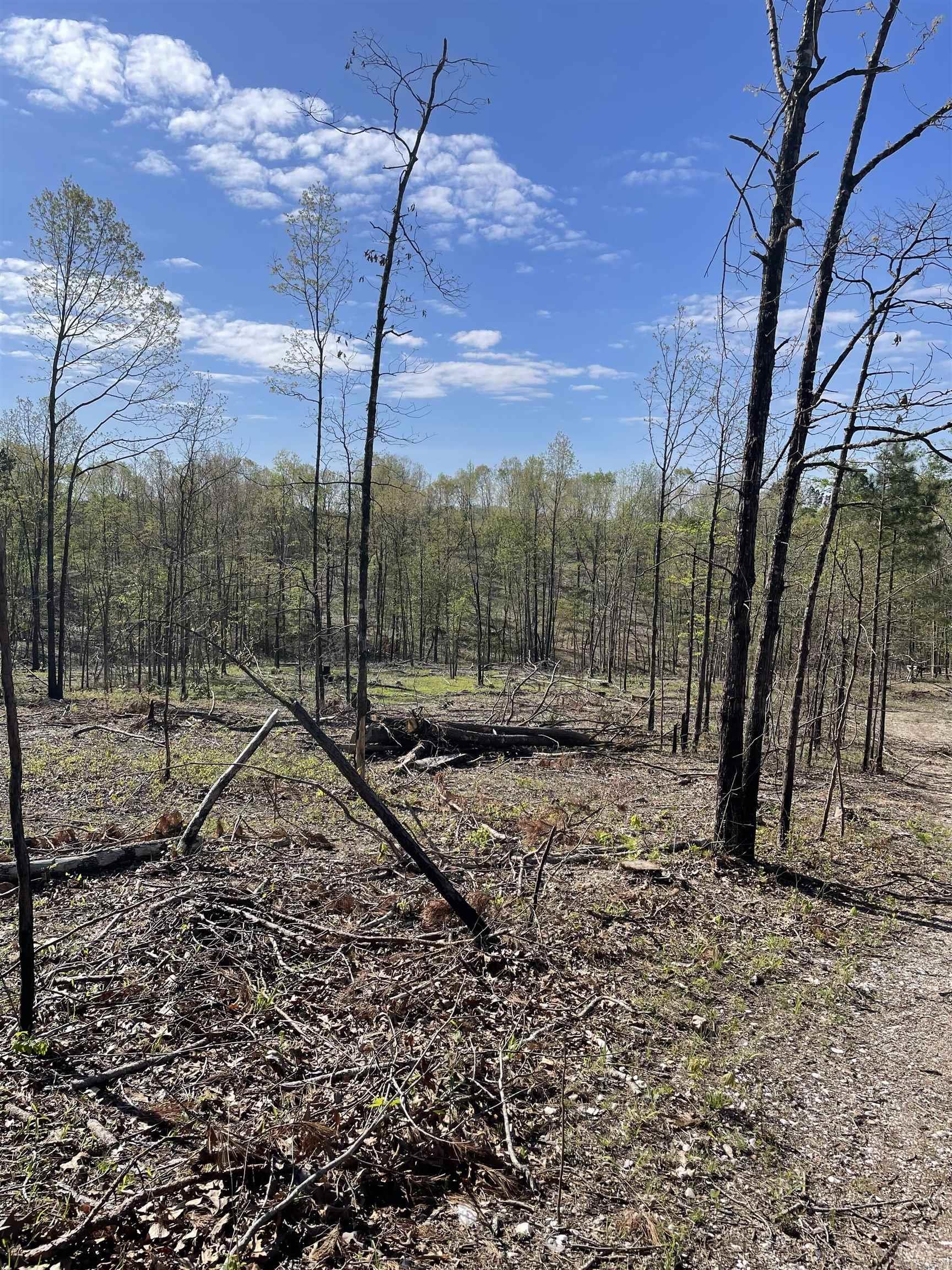 8066 Steel Bridge Road