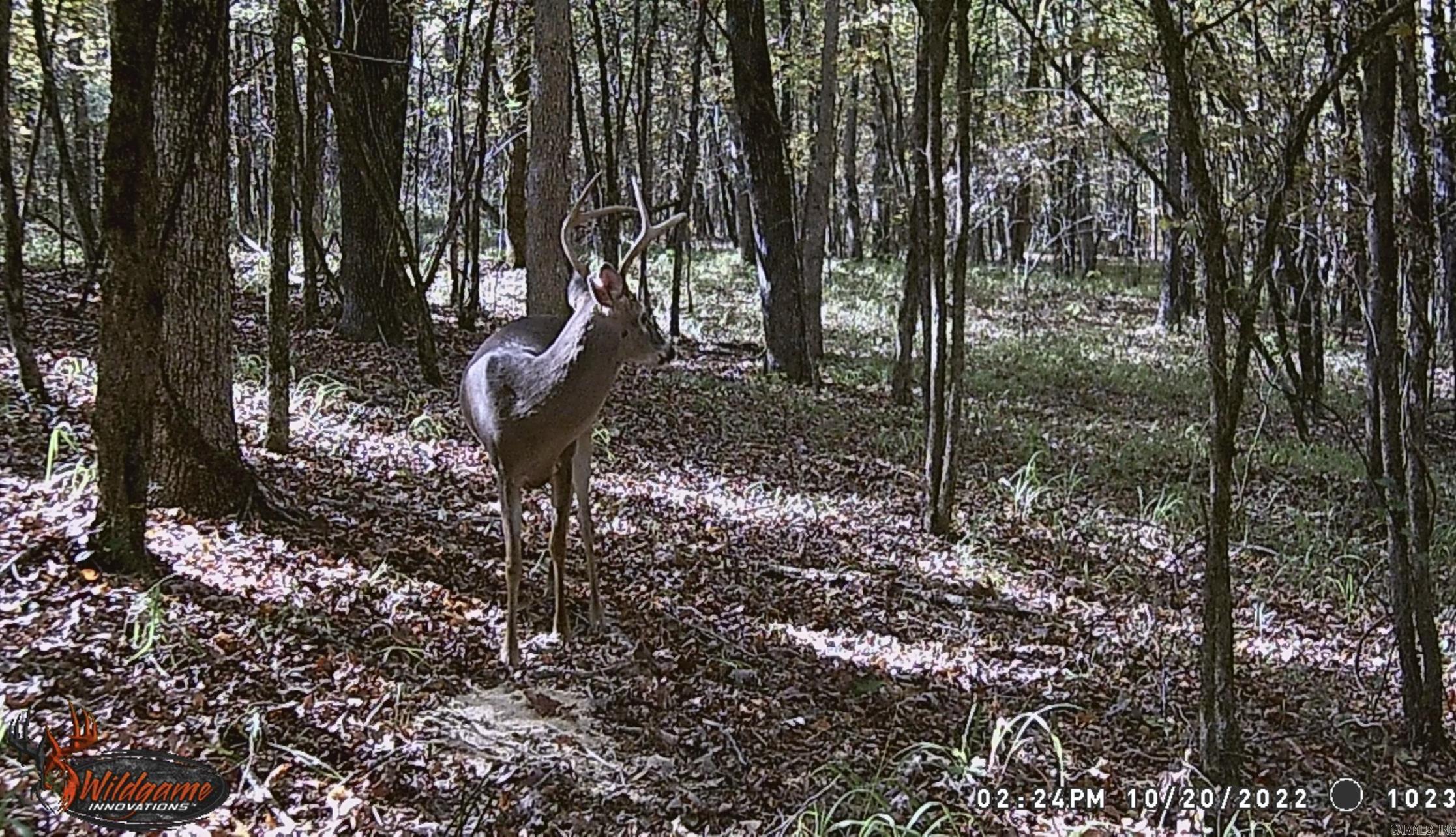 8066 Steel Bridge Road