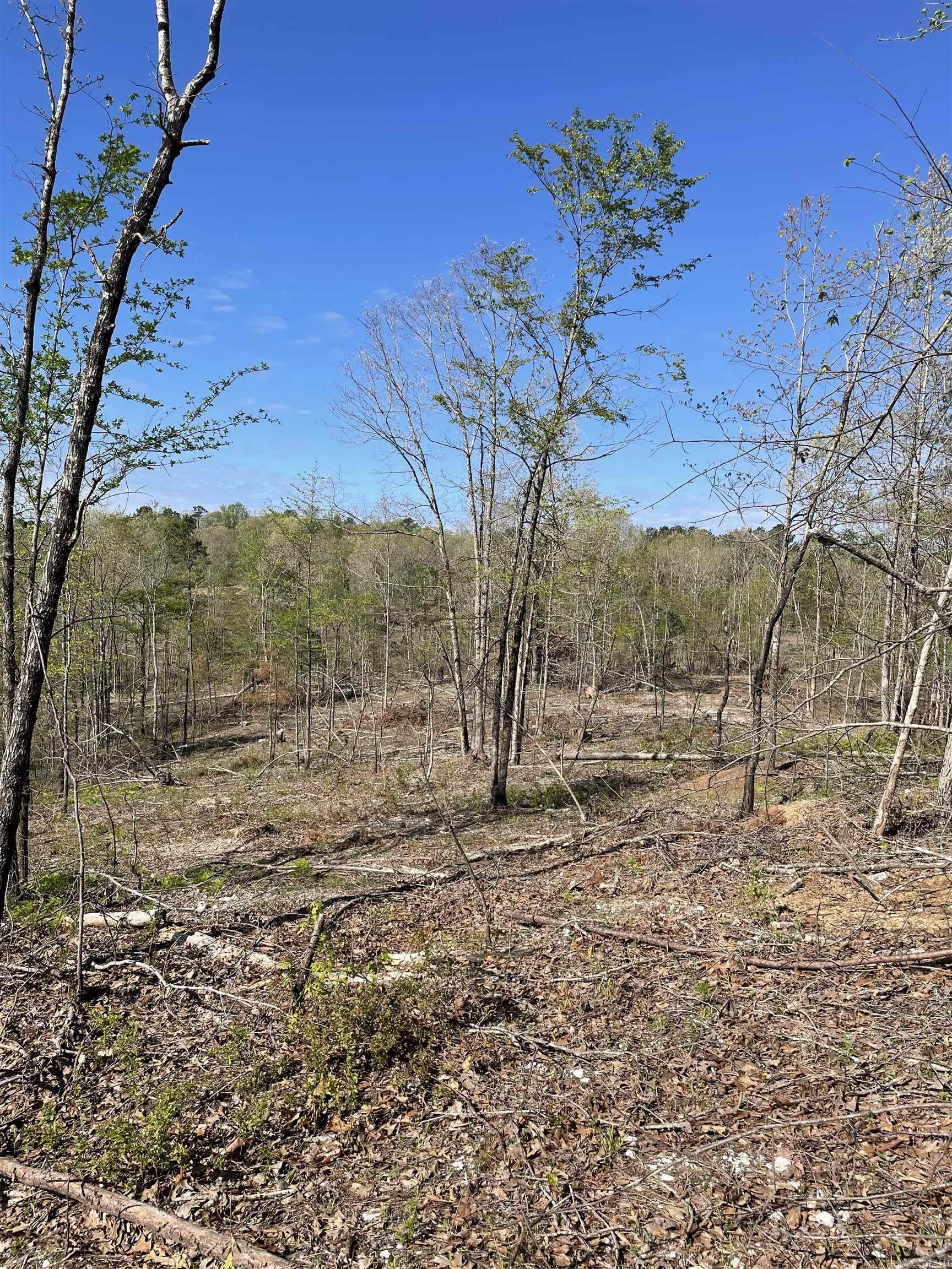 8066 Steel Bridge Road