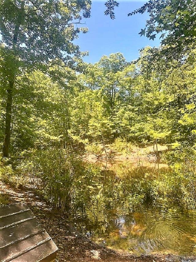 8066 Steel Bridge Road