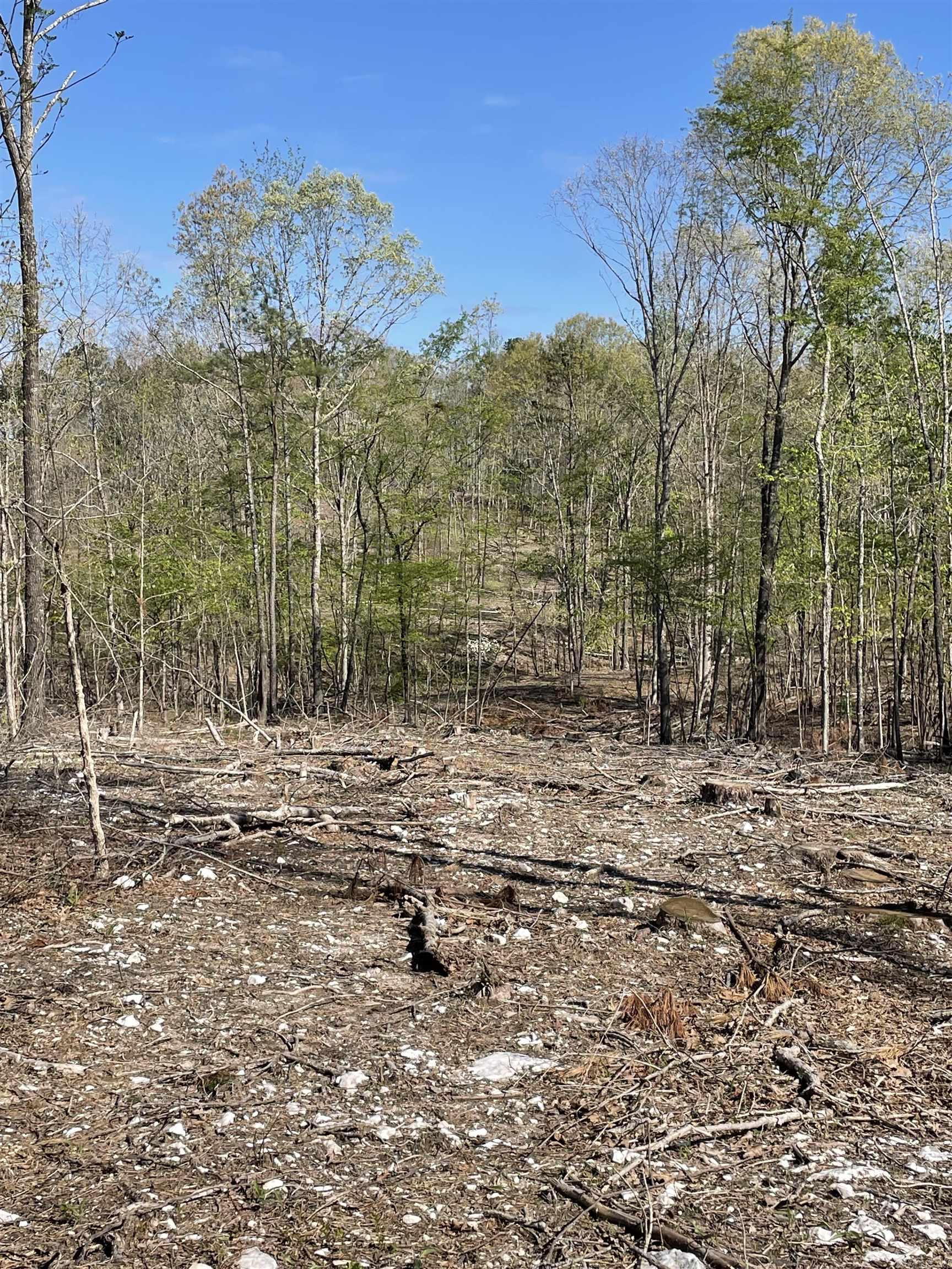 8066 Steel Bridge Road