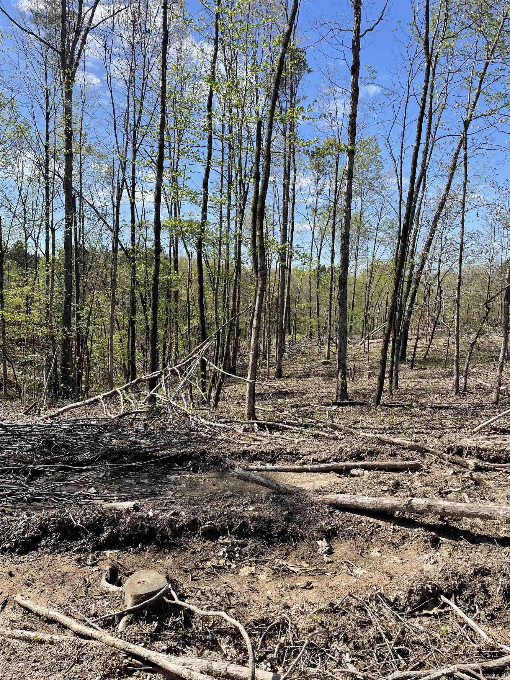 8066 Steel Bridge Road