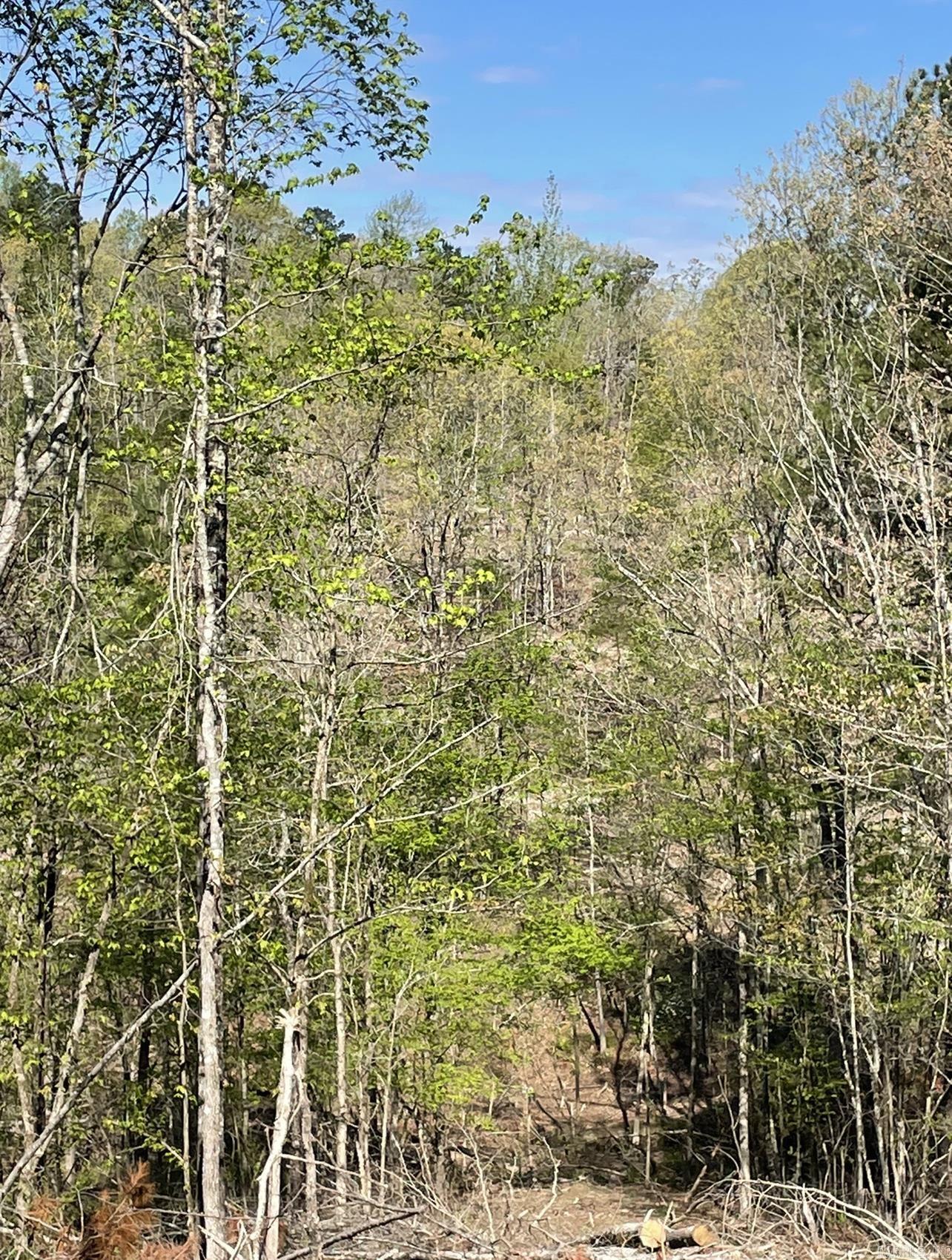 8066 Steel Bridge Road