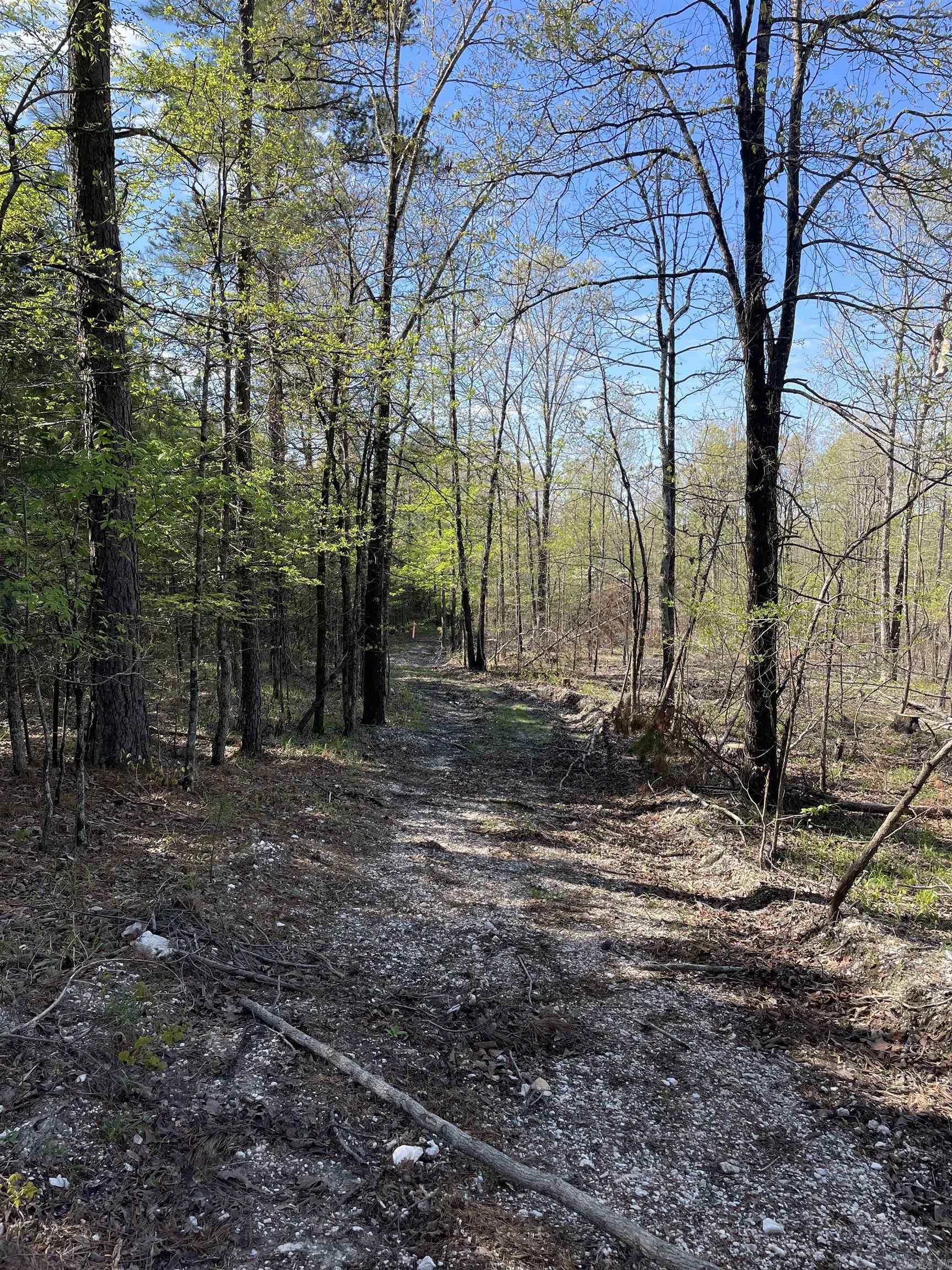 8066 Steel Bridge Road