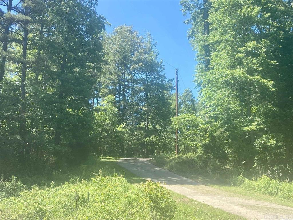 8066 Steel Bridge Road