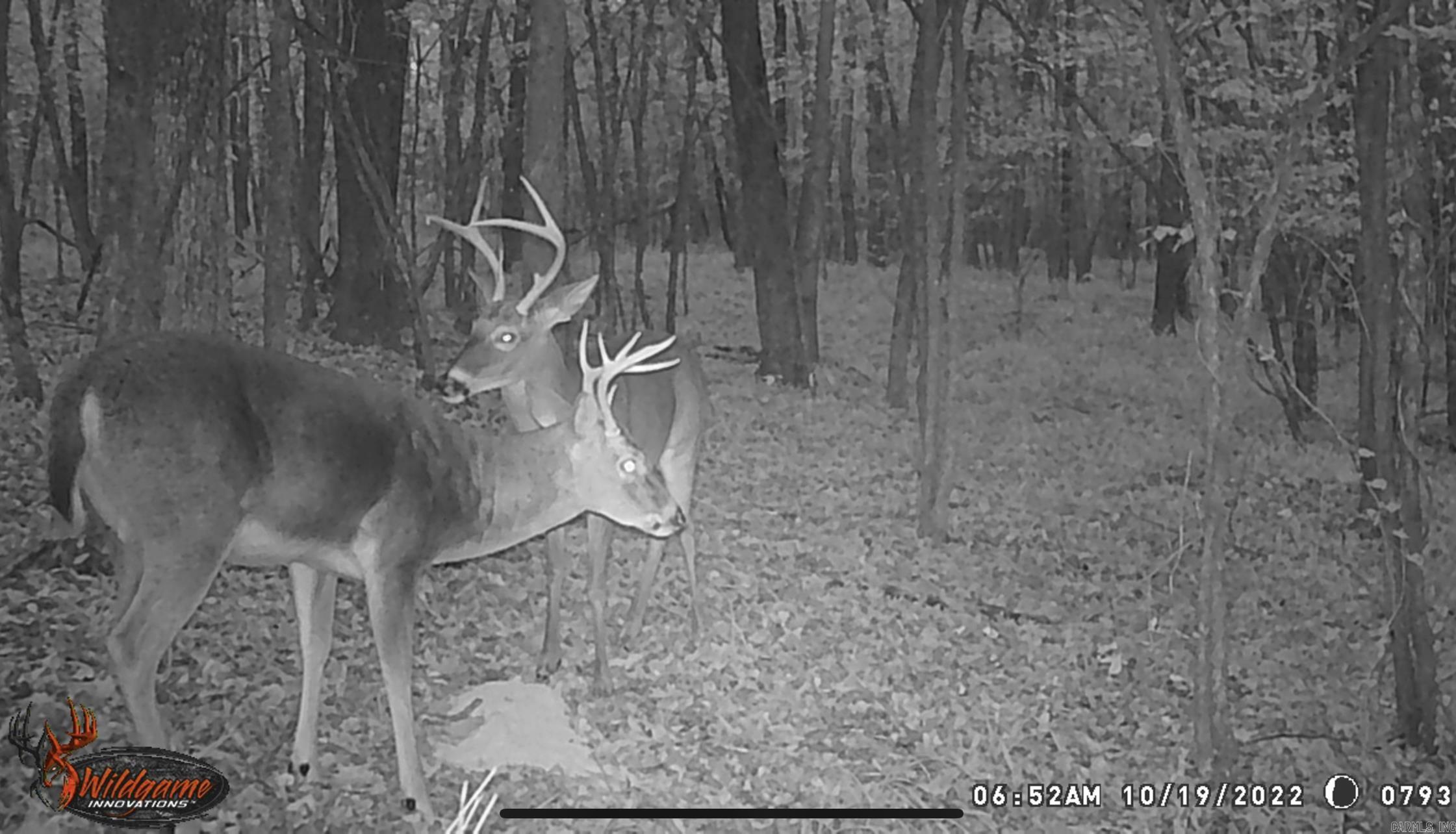 8066 Steel Bridge Road