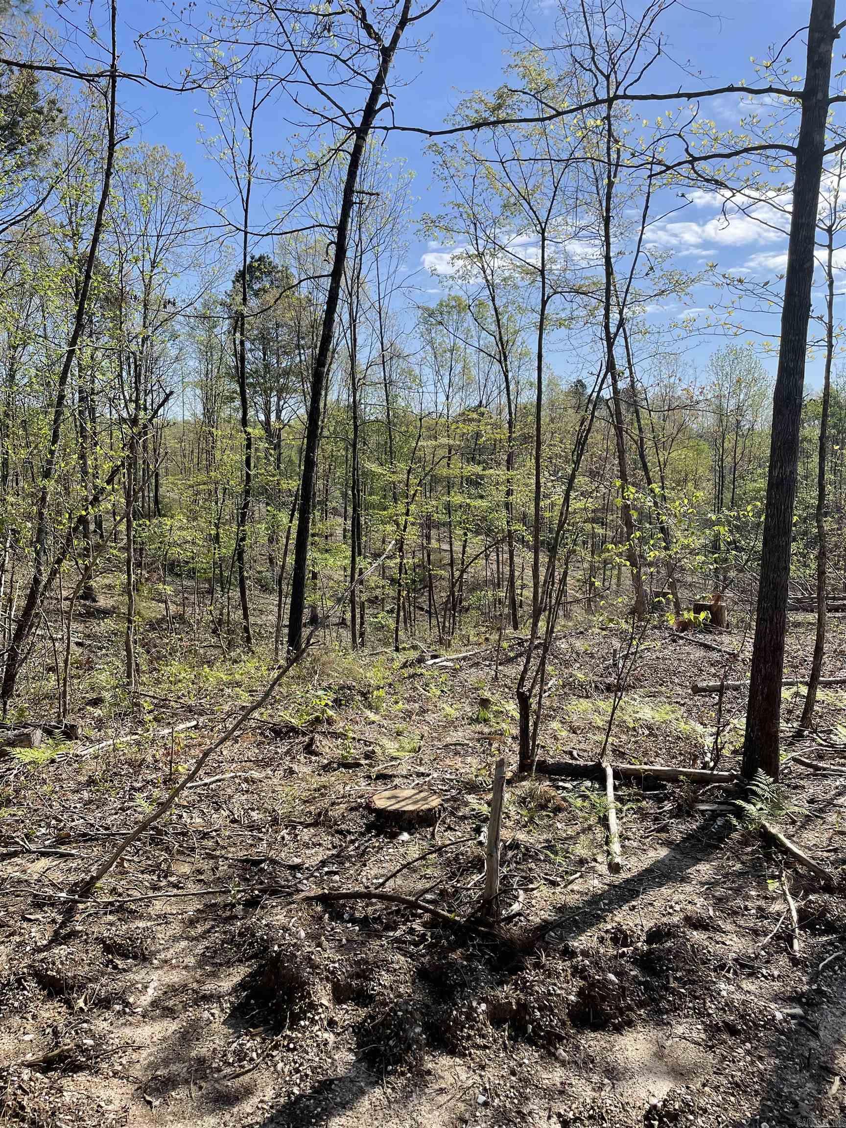 8066 Steel Bridge Road