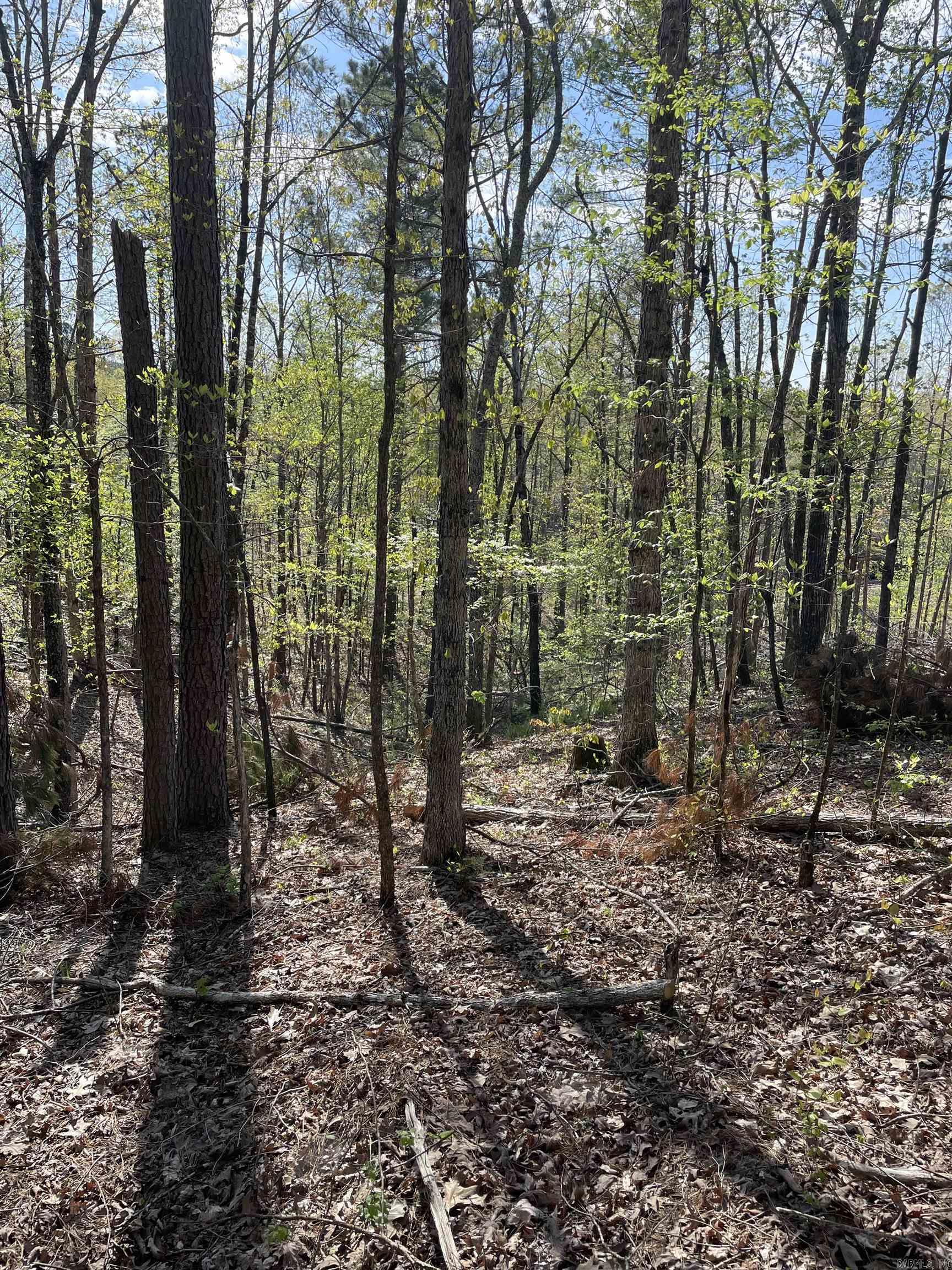 8066 Steel Bridge Road