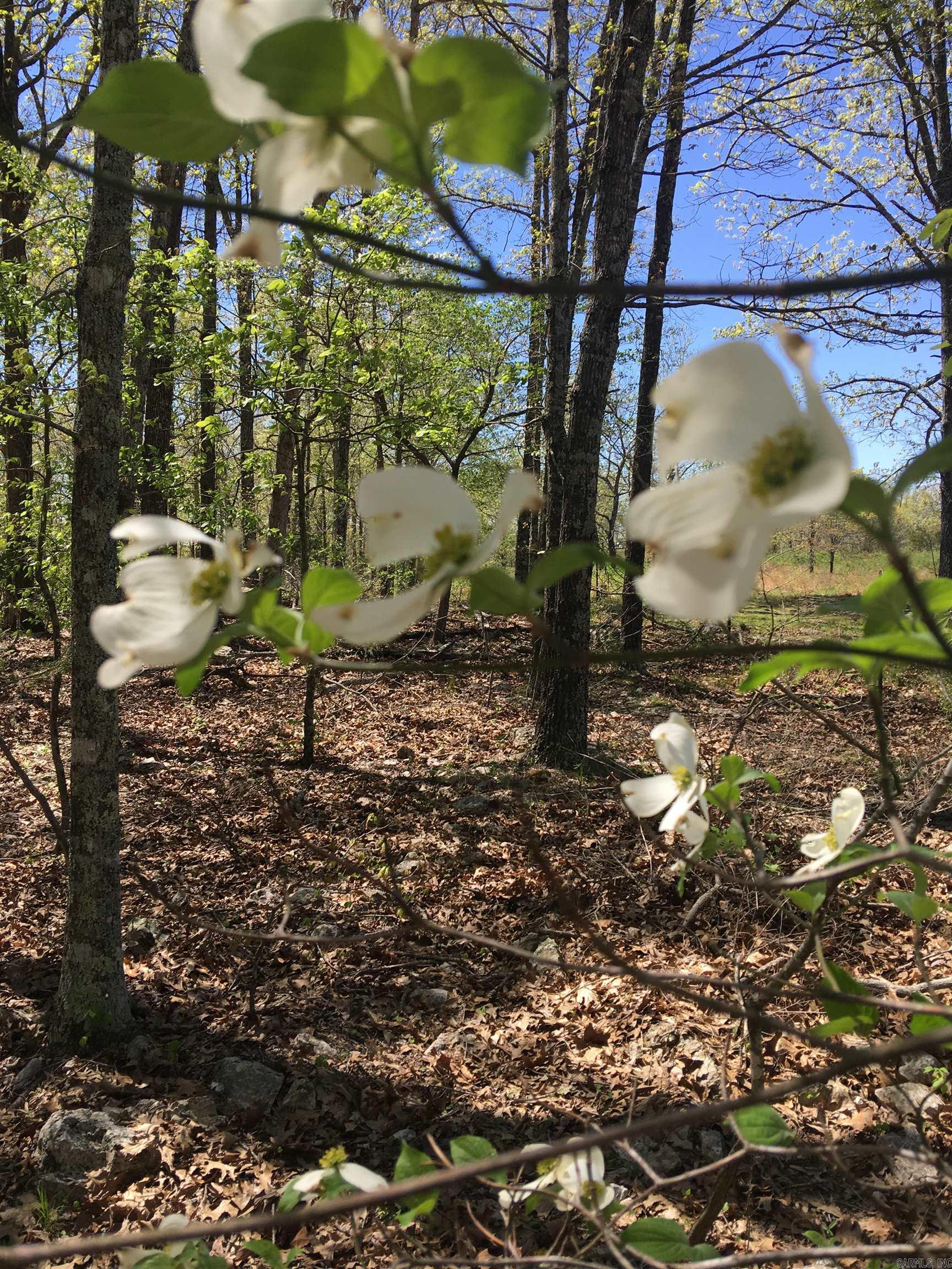 8066 Steel Bridge Road