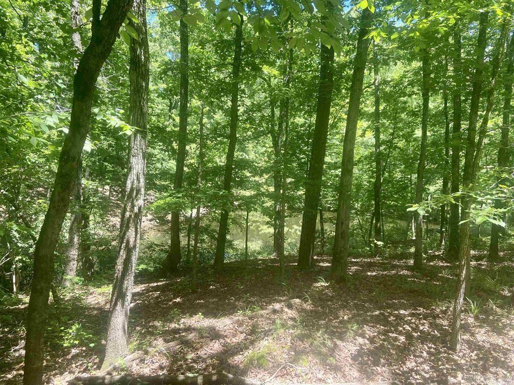 8066 Steel Bridge Road