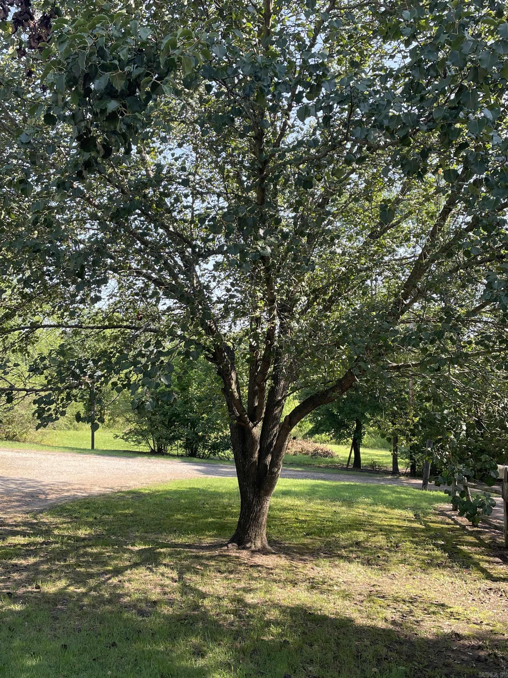 217 Griffith Loop