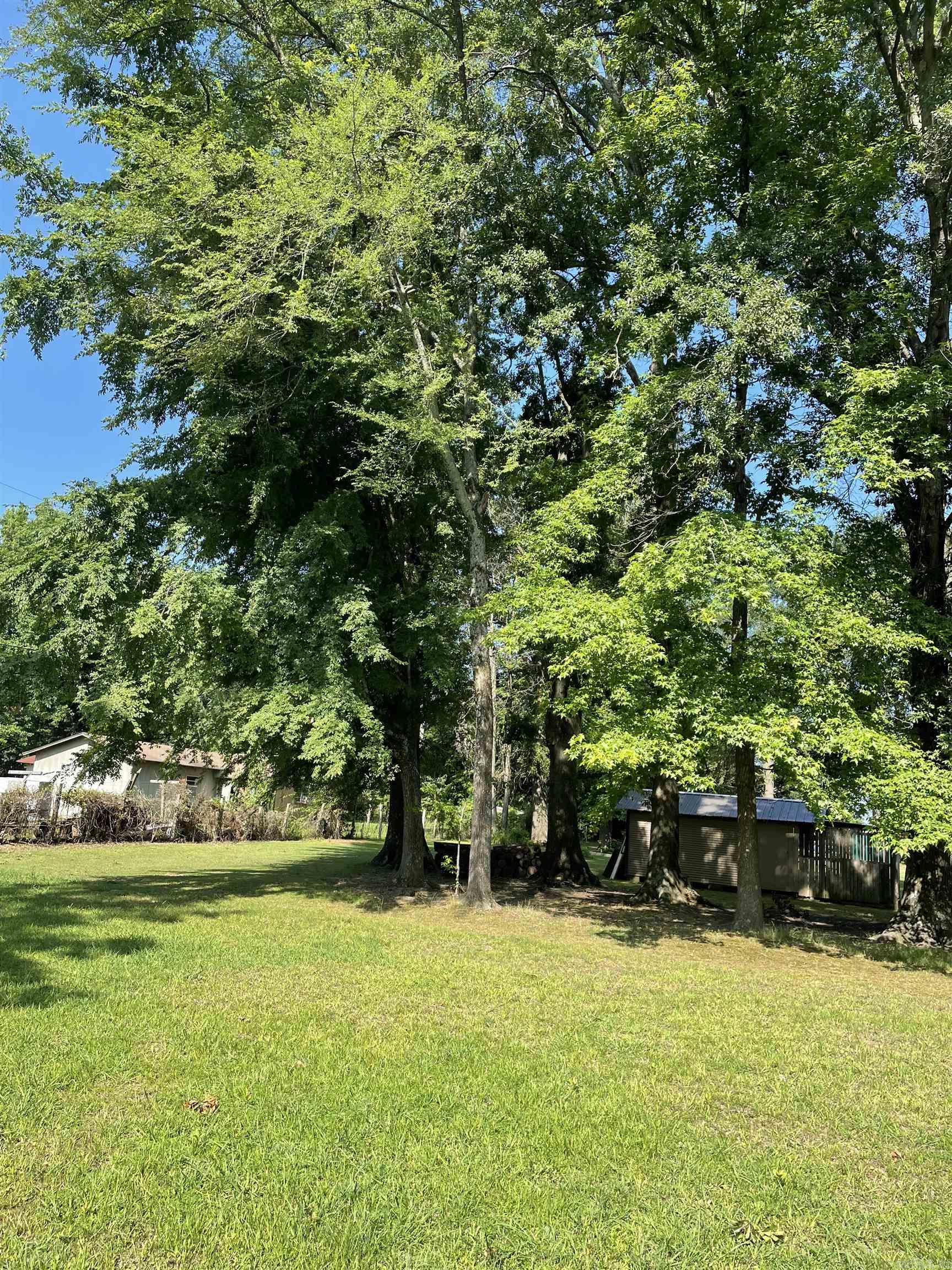 217 Griffith Loop