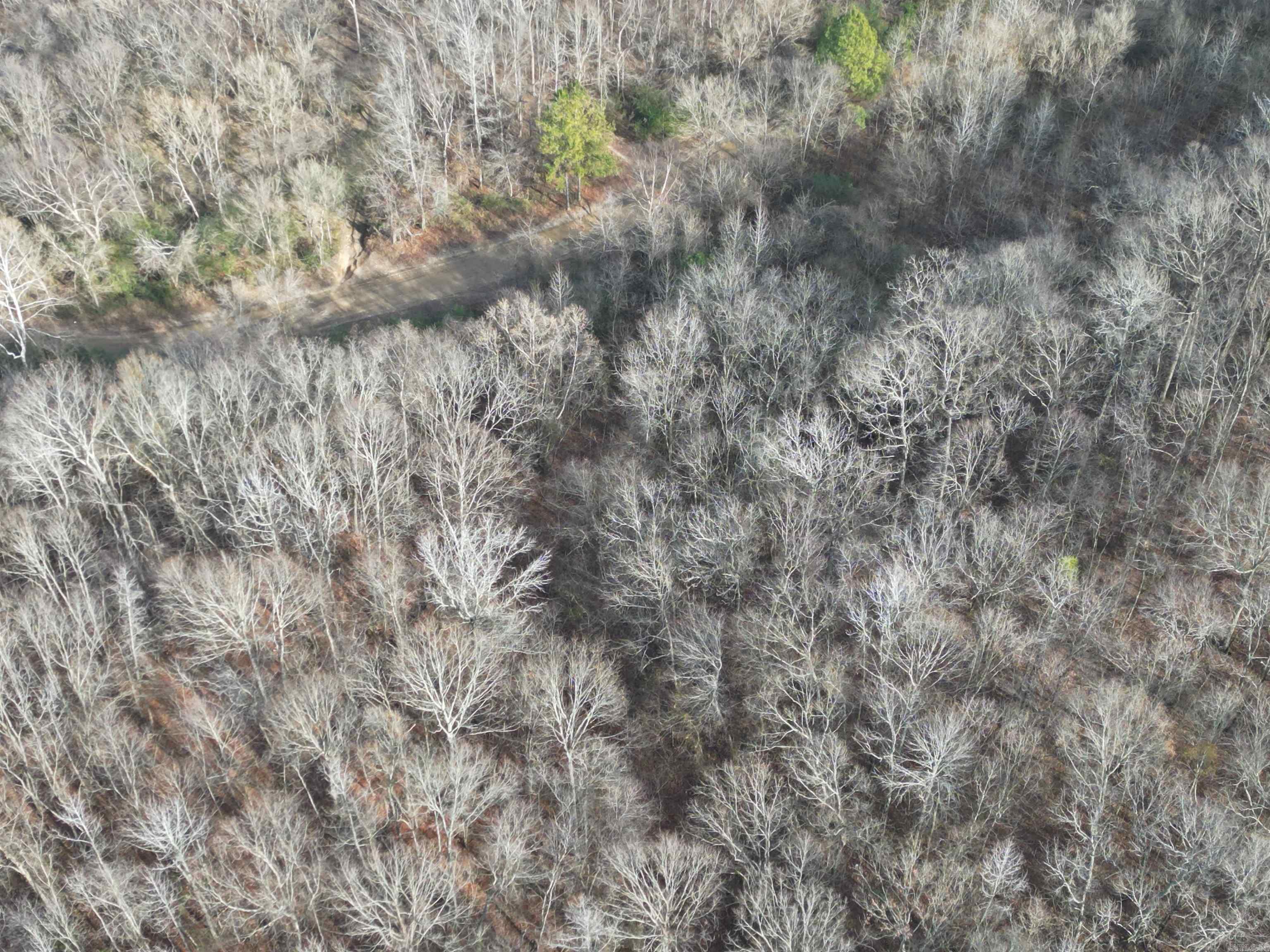 000 Oversprings Drive