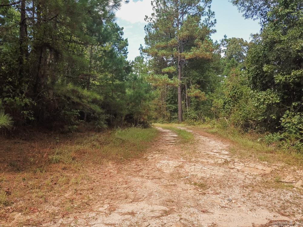 000 Sunflower Road