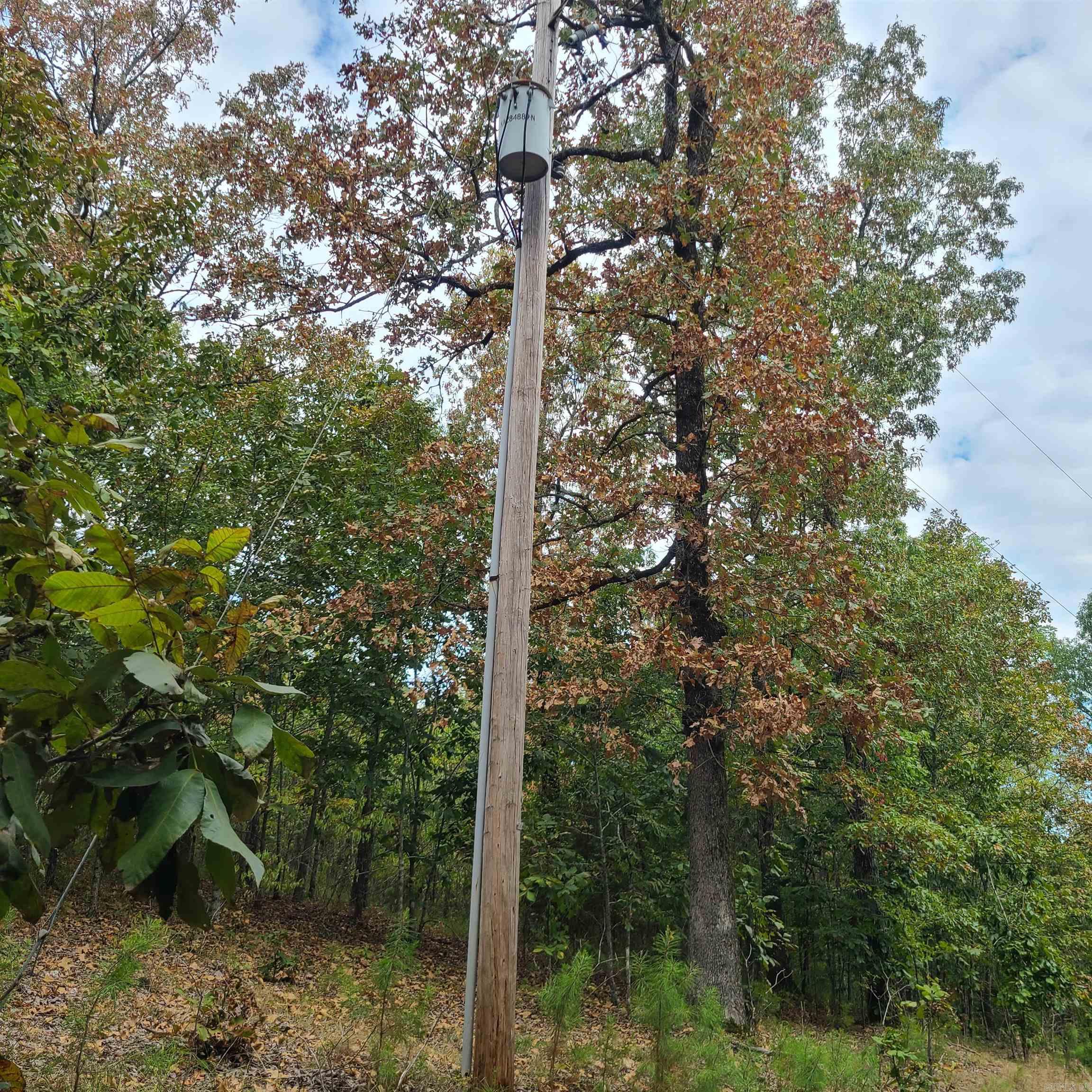 4321 Flowerwood Lane