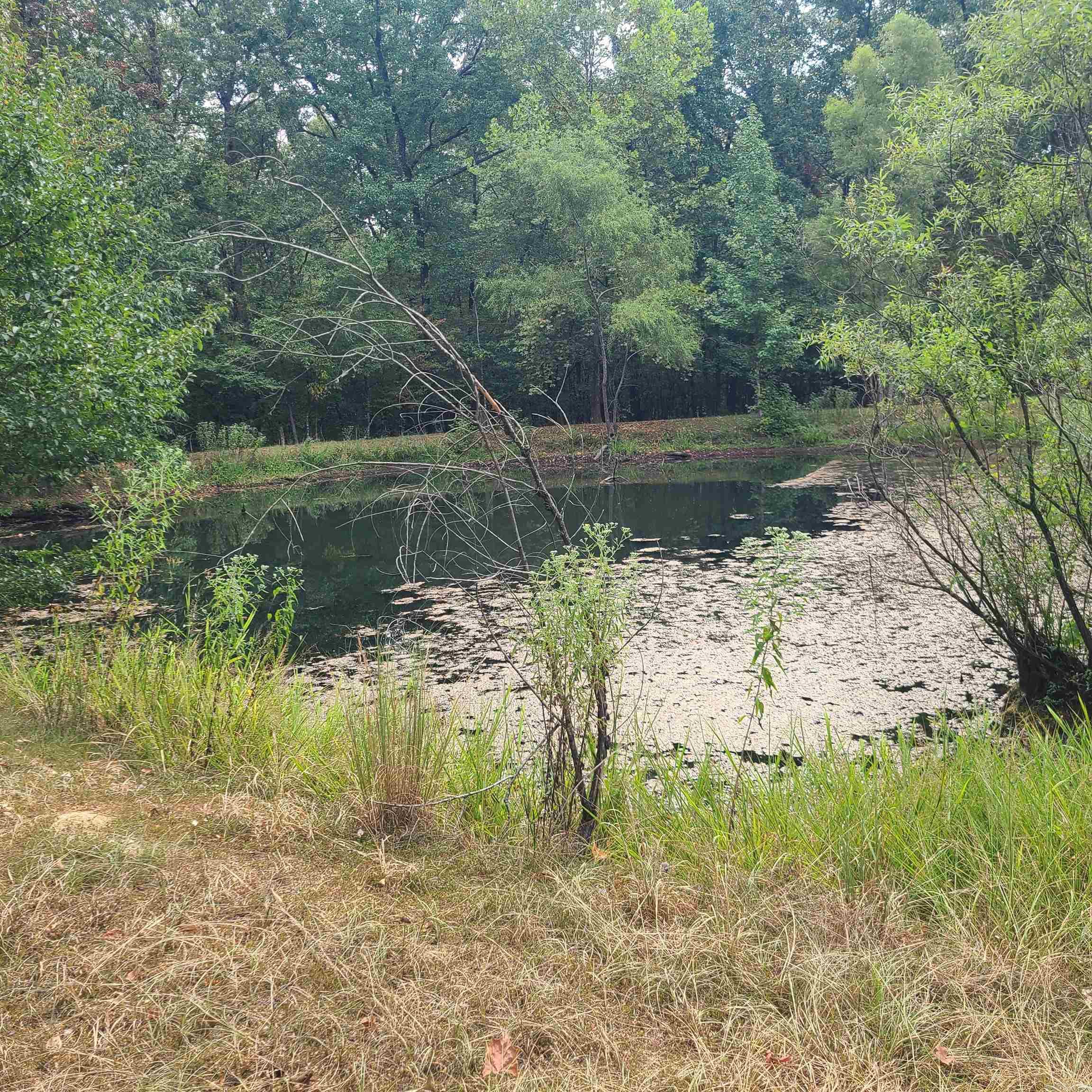 4321 Flowerwood Lane