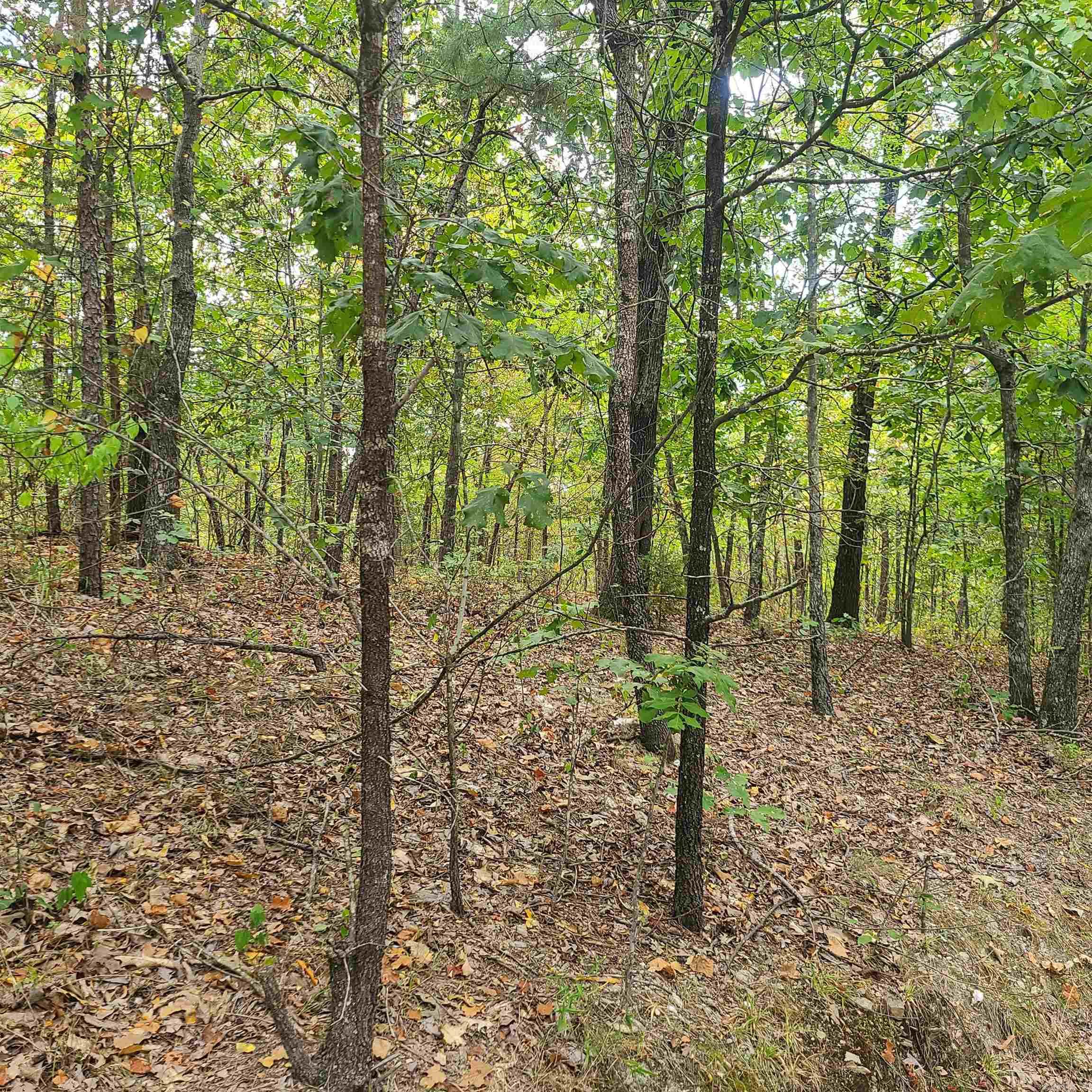 4321 Flowerwood Lane