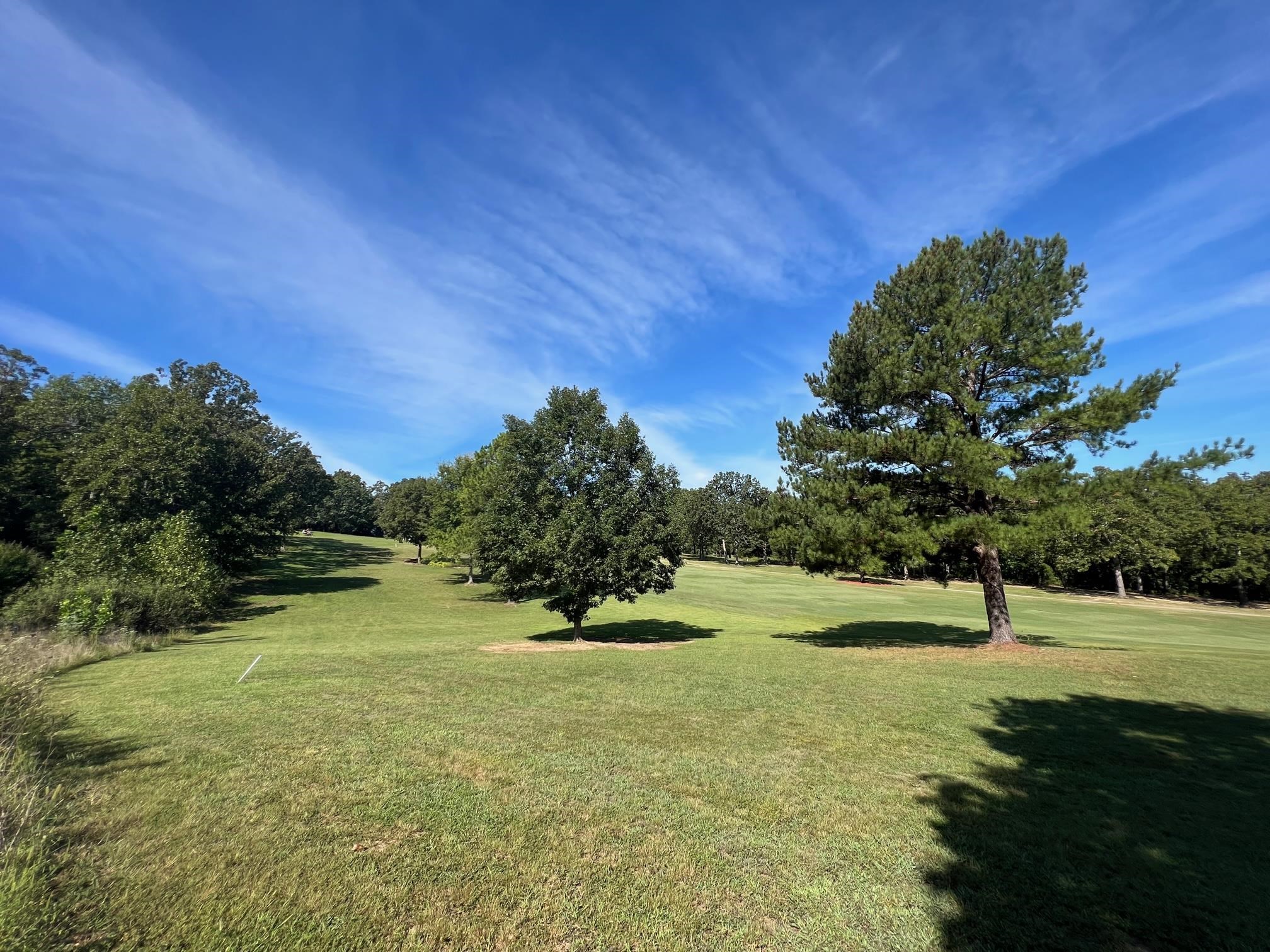 801 Birdie Drive