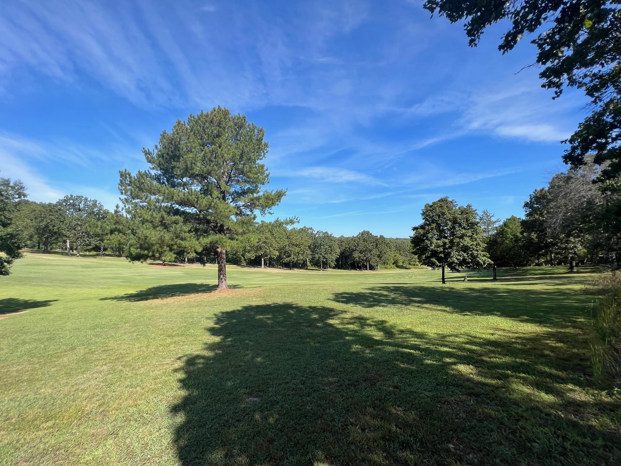 801 Birdie Drive