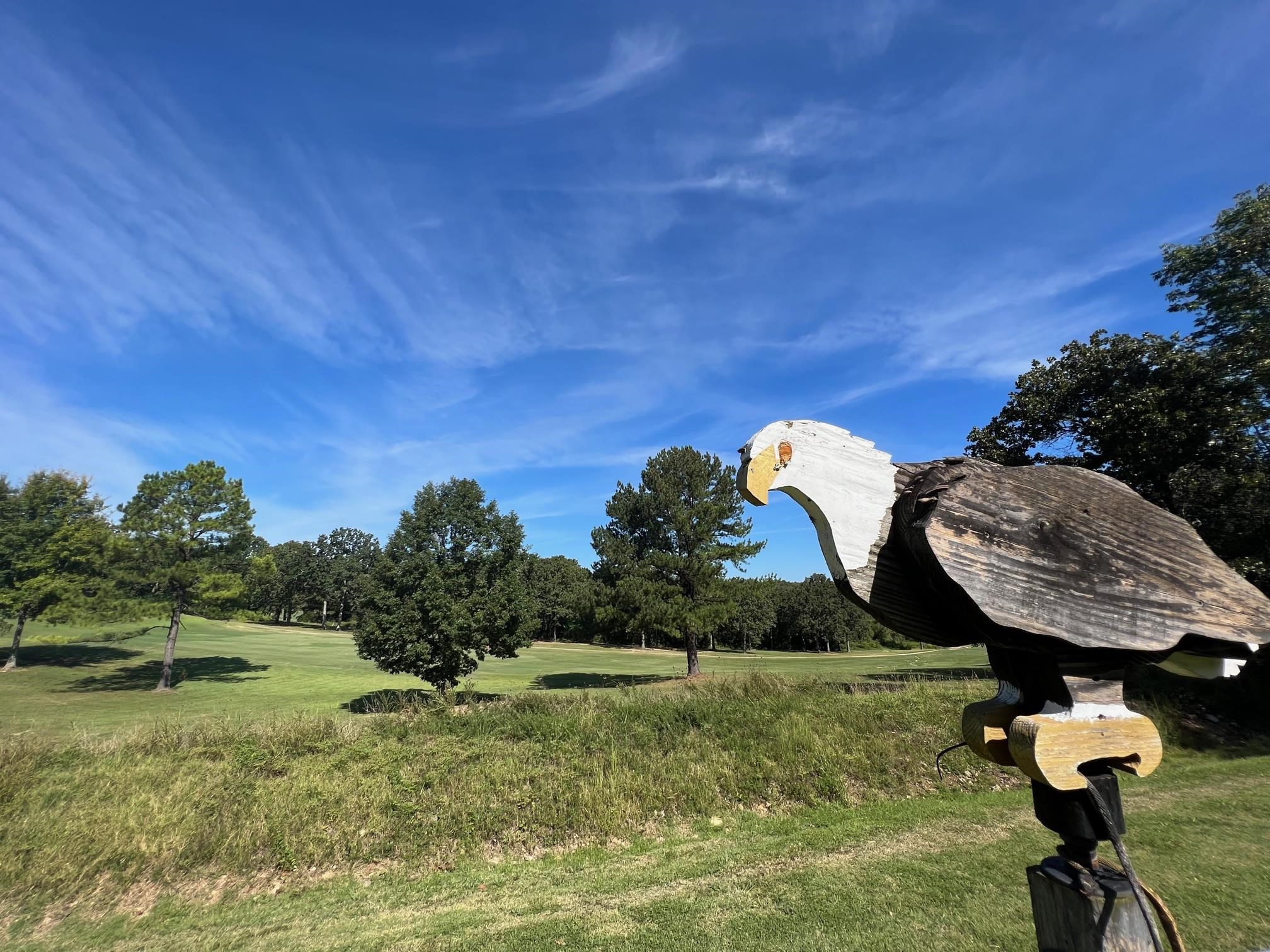 801 Birdie Drive