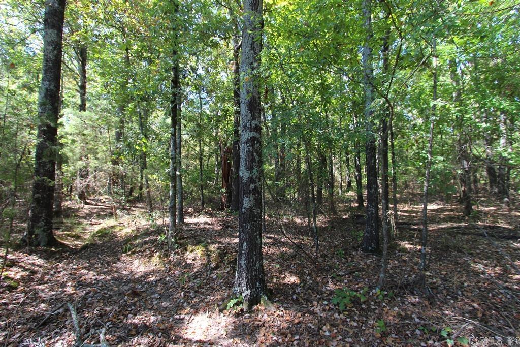 4505 Donnell Ridge Road
