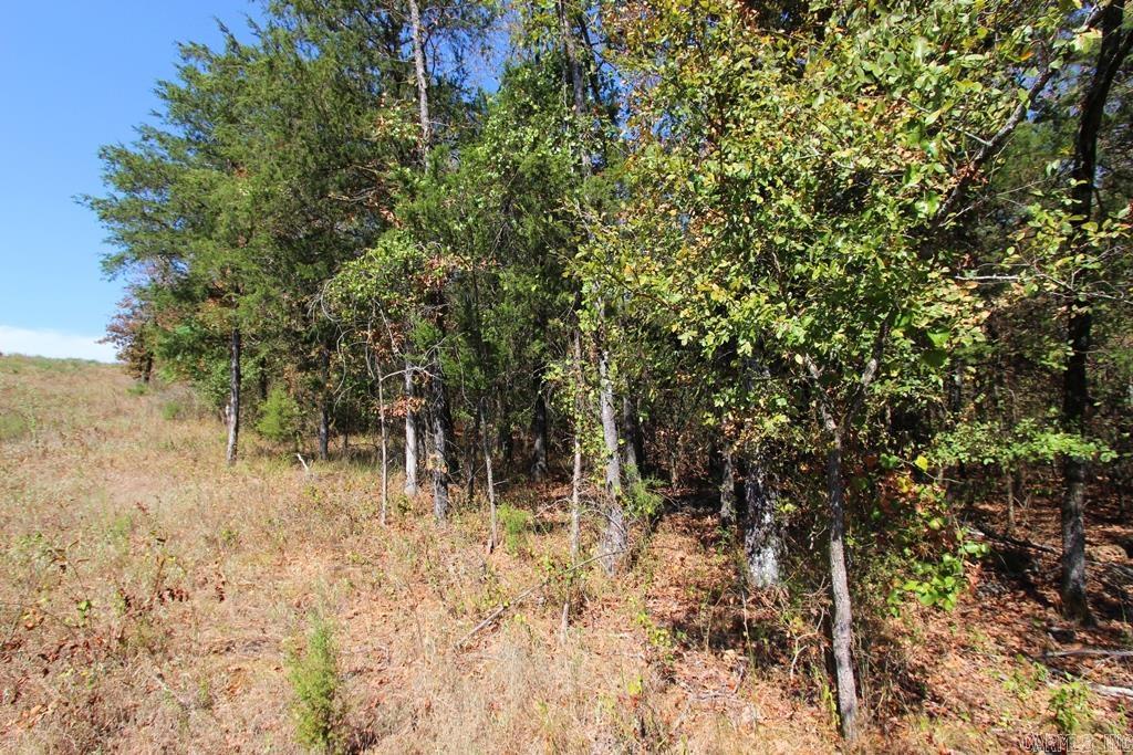 4505 Donnell Ridge Road