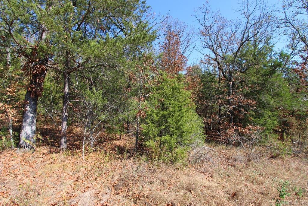 4505 Donnell Ridge Road