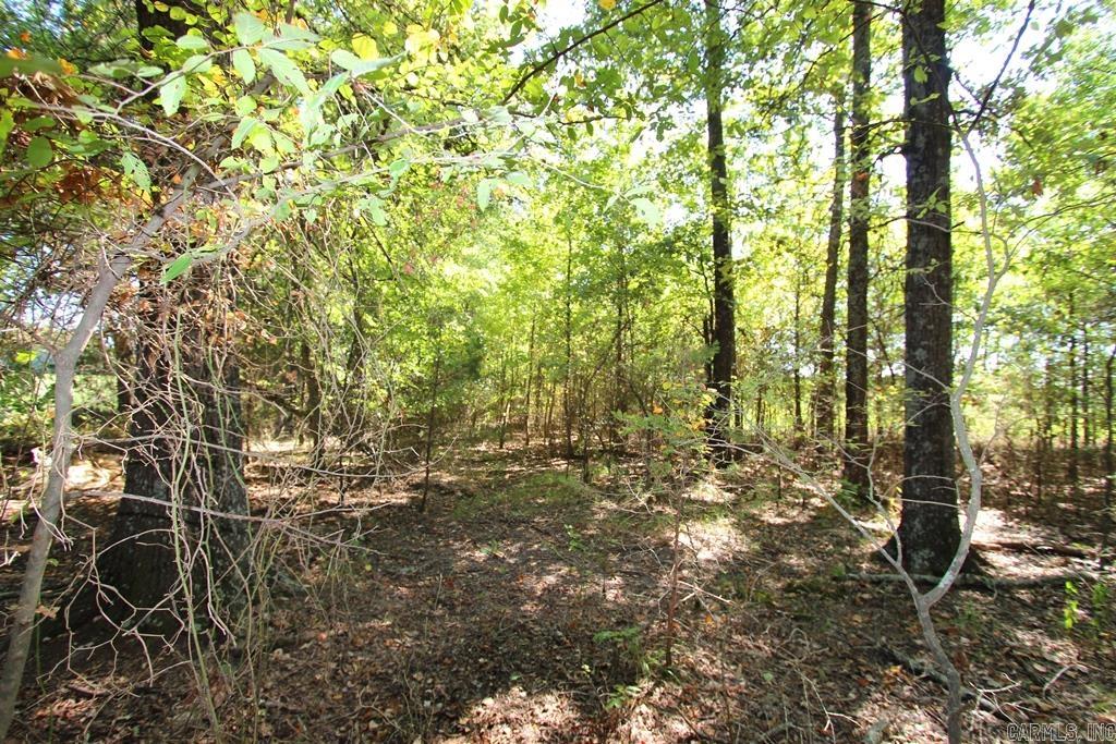 4505 Donnell Ridge Road