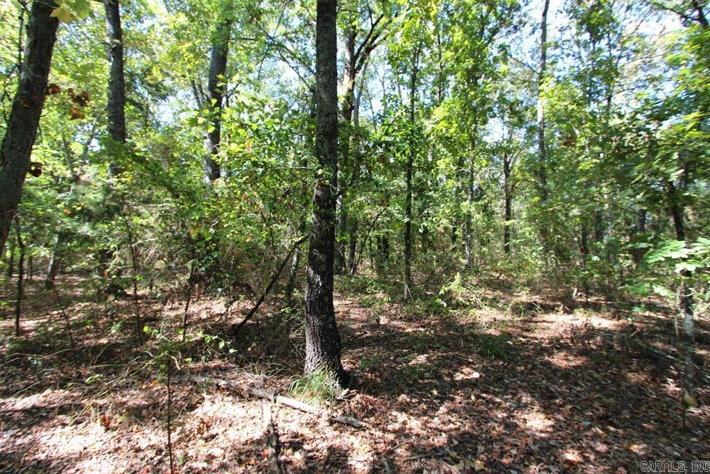 4505 Donnell Ridge Road