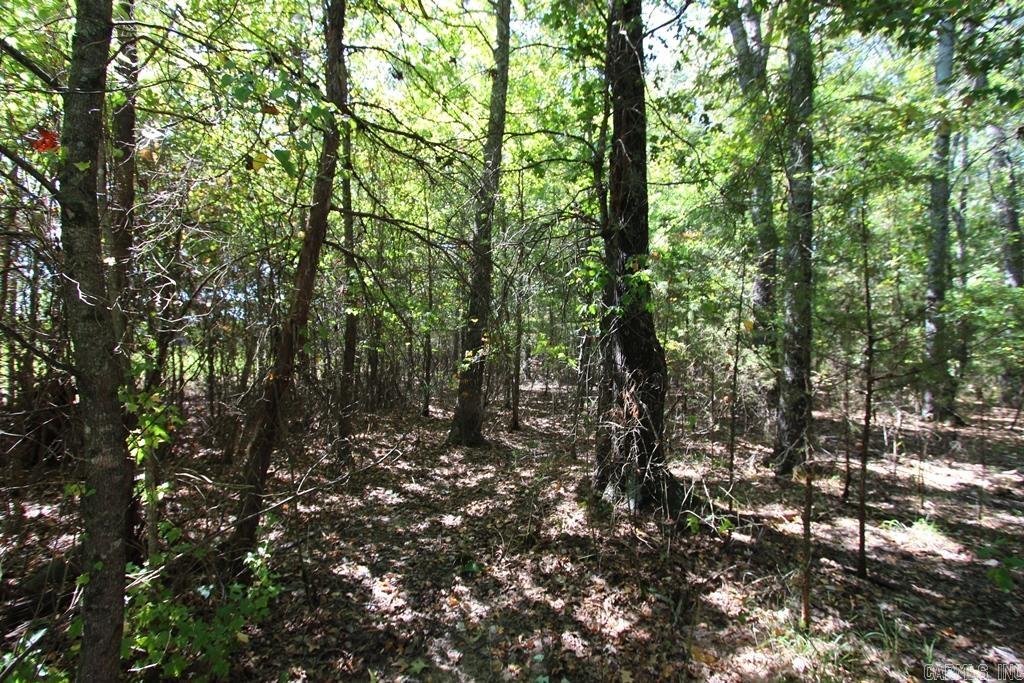 4505 Donnell Ridge Road