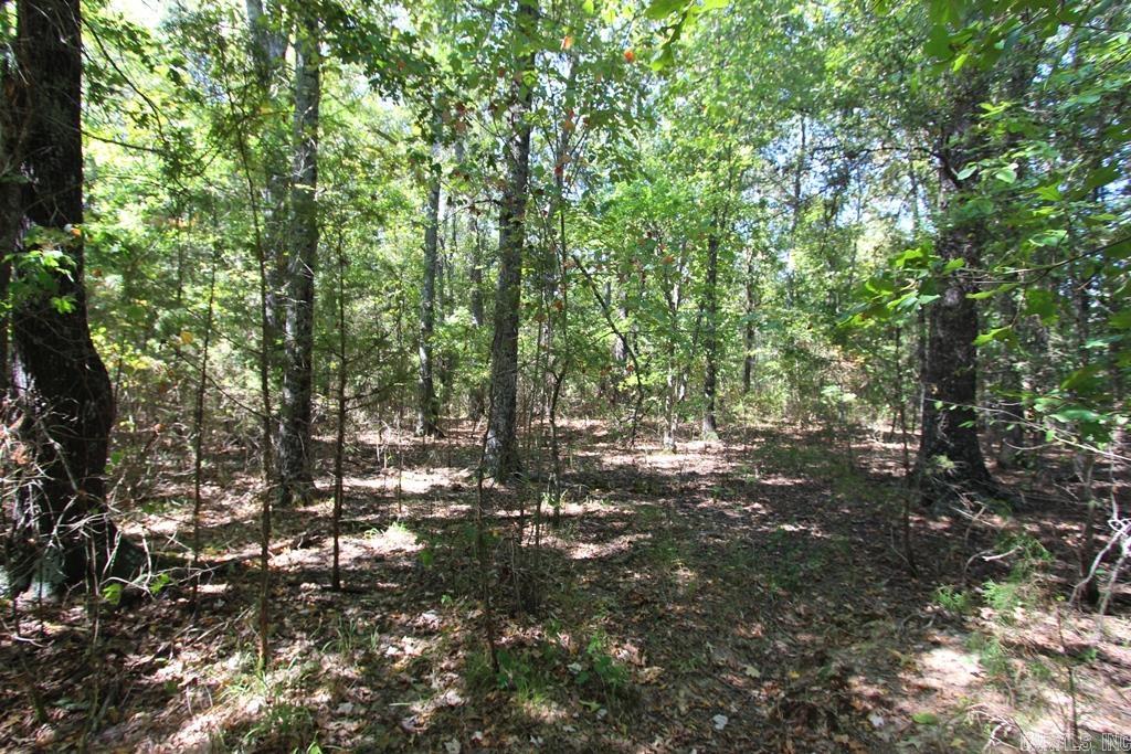 4505 Donnell Ridge Road