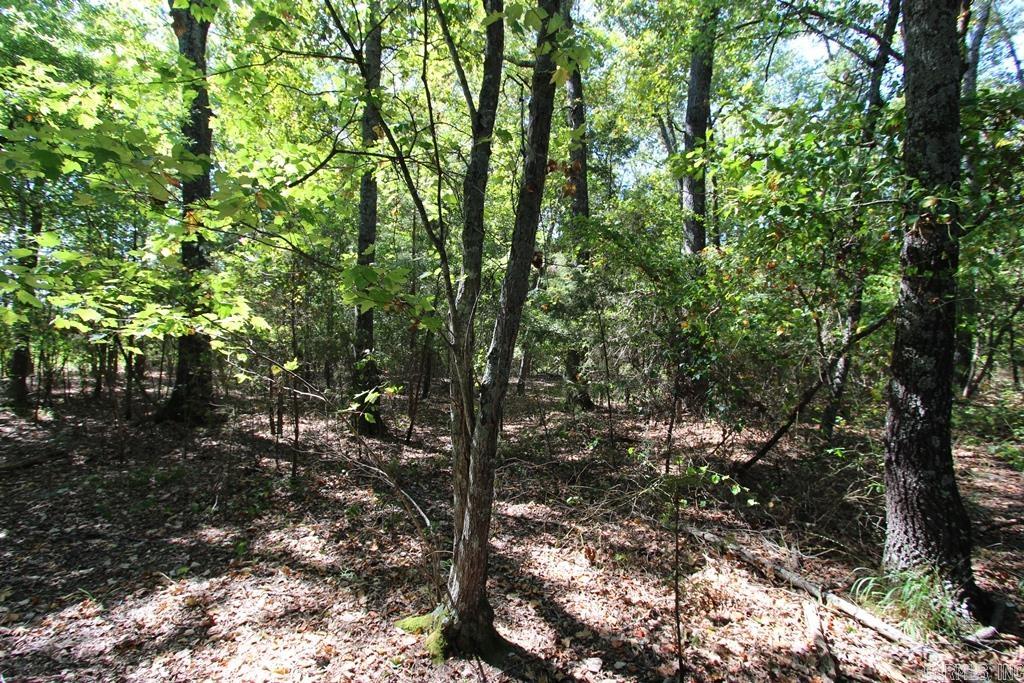 4505 Donnell Ridge Road