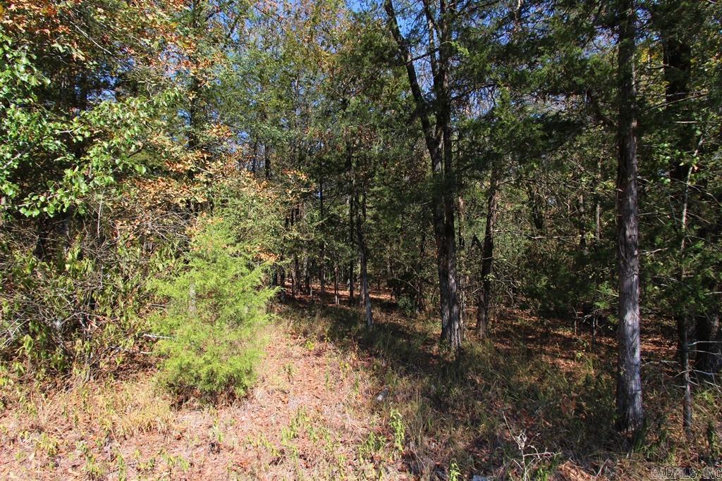 4505 Donnell Ridge Road