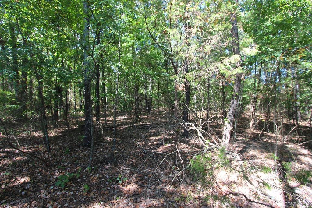 4505 Donnell Ridge Road