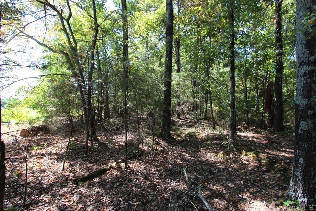4505 Donnell Ridge Road
