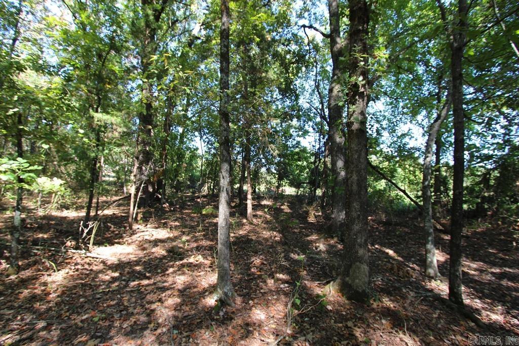 4505 Donnell Ridge Road