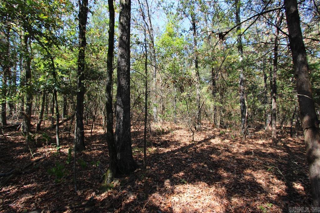 4505 Donnell Ridge Road