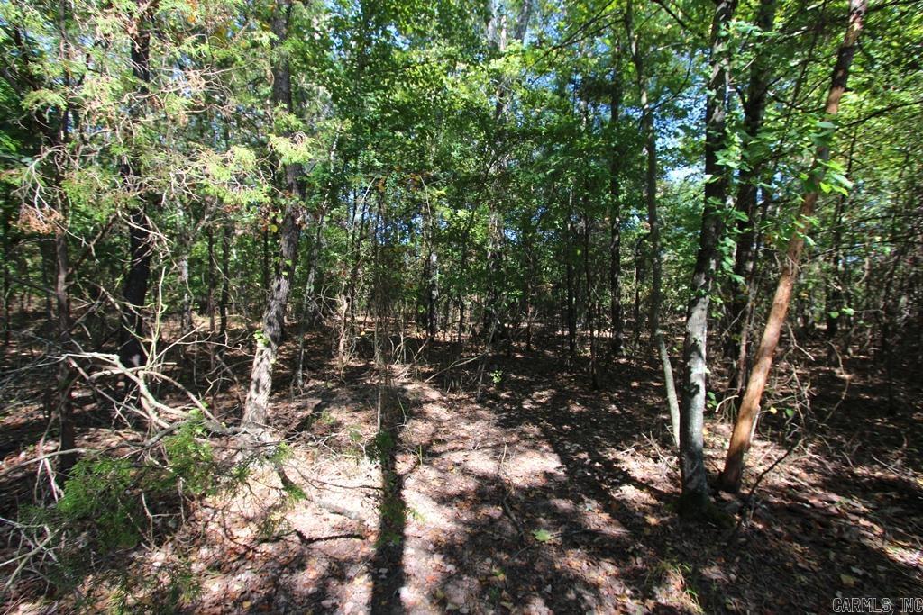 4505 Donnell Ridge Road