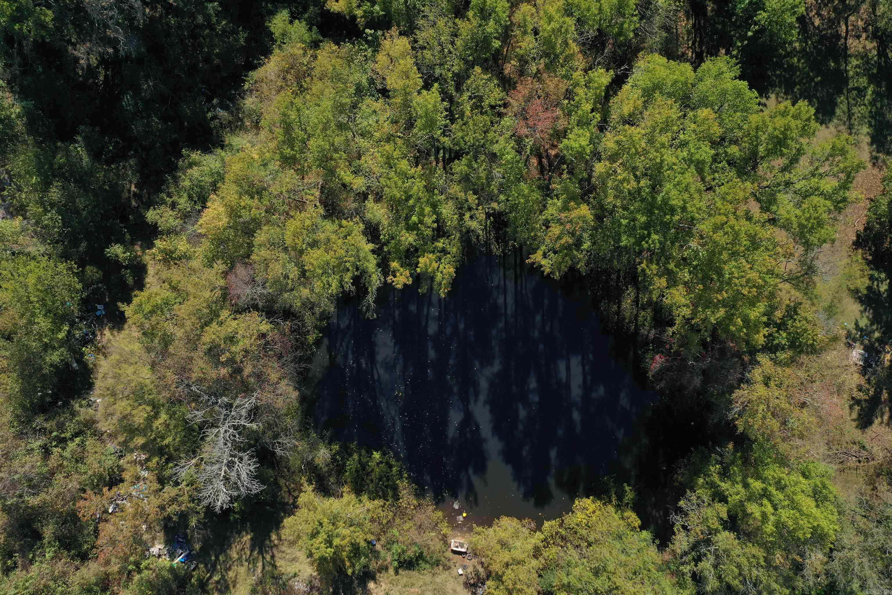 171 Easterwood Point Road