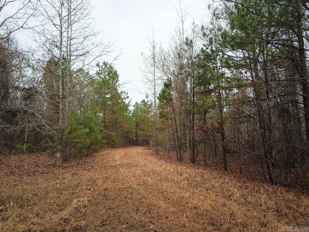 000 Sulphur Springs Rd.