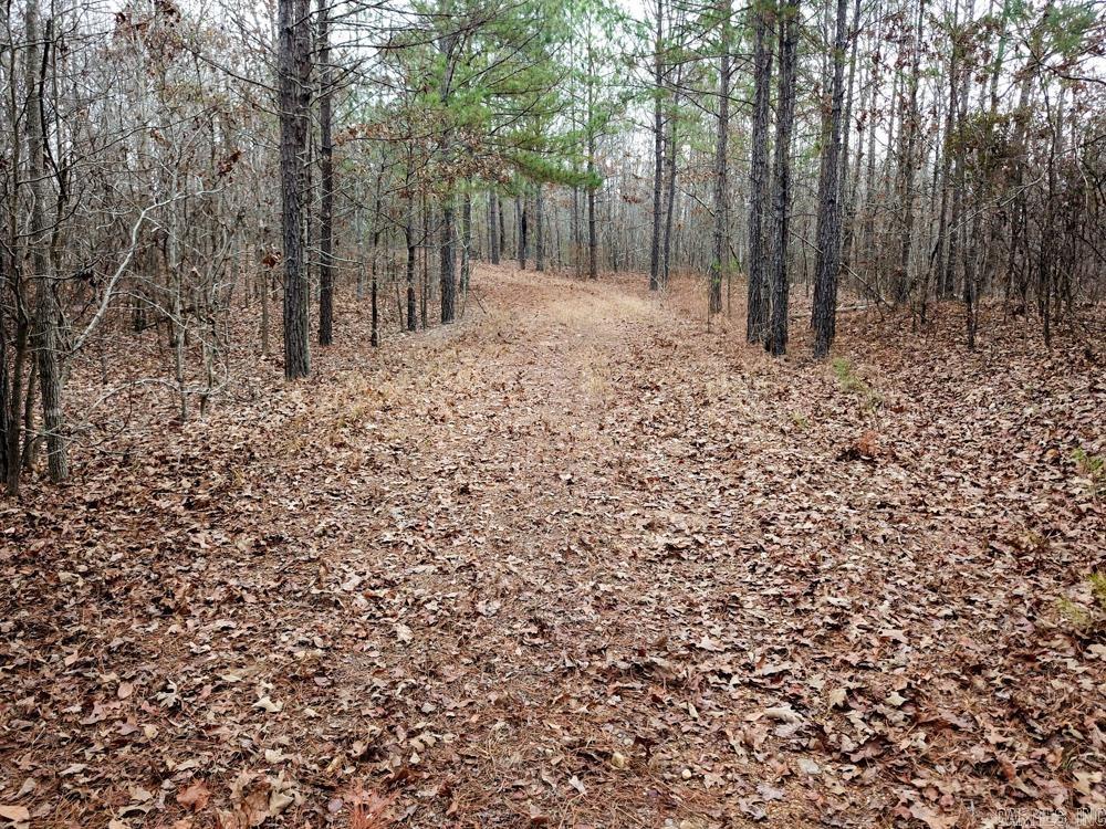 000 Sulphur Springs Rd.