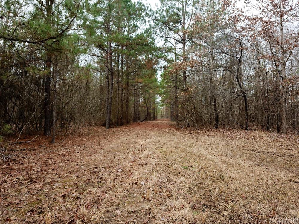 000 Sulphur Springs Rd.