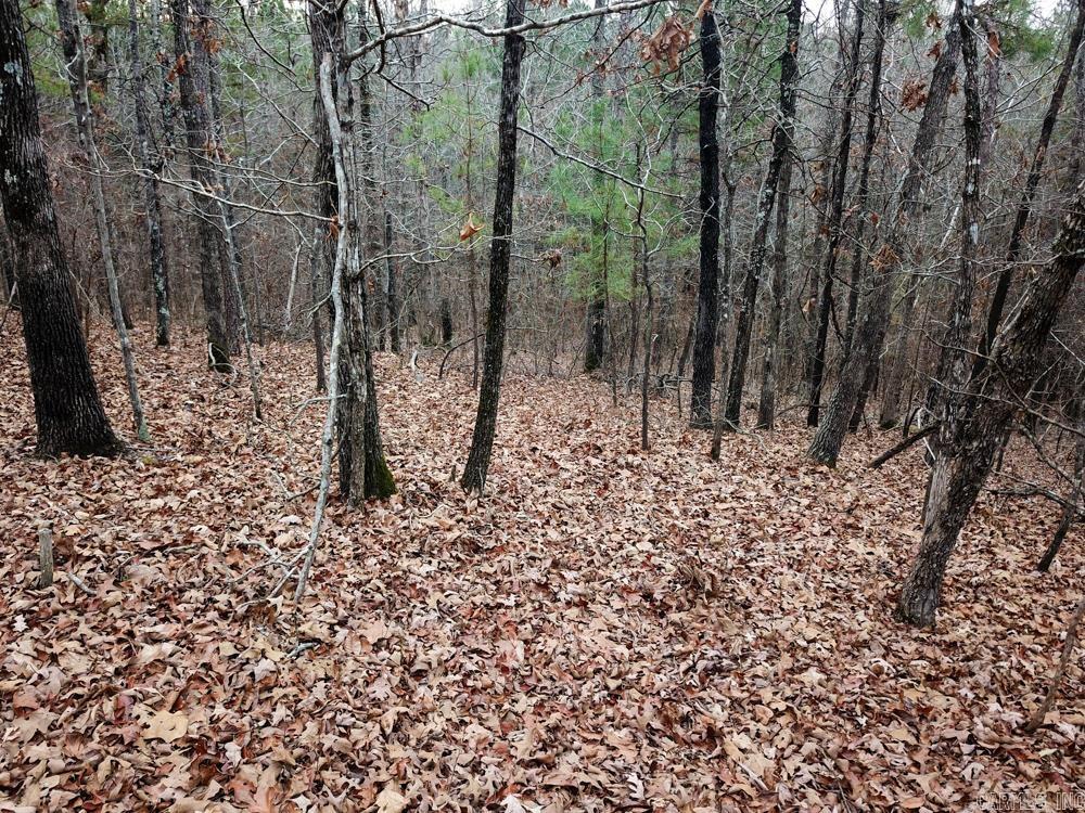 000 Sulphur Springs Rd.