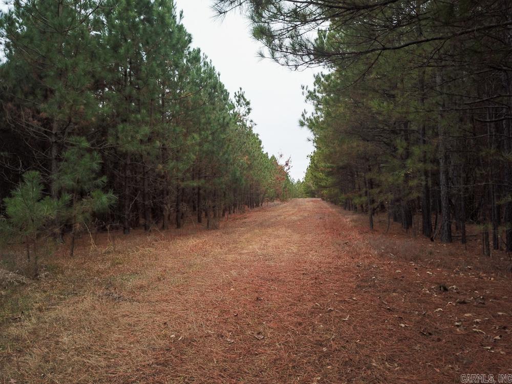 000 Sulphur Springs Rd.